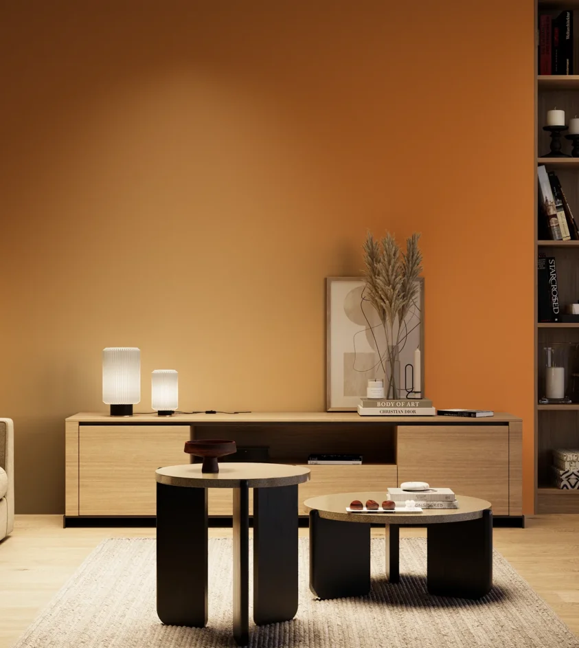 P10_SNIEZKA_salon_04_cieple_GREY_S2070-Y40R