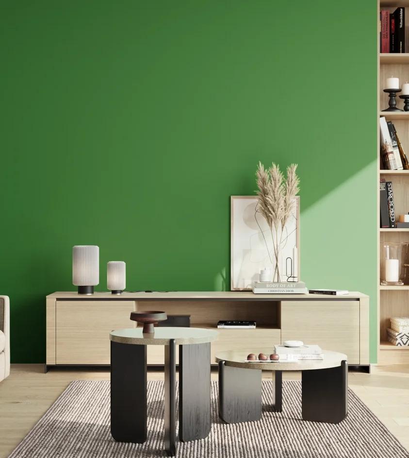 P10_SNIEZKA_salon_02_poludnie_GREY_S2570-G20Y