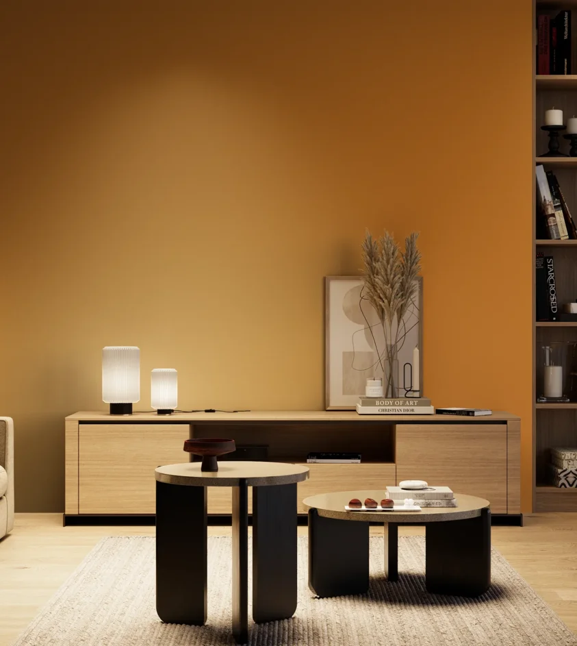 P10_SNIEZKA_salon_04_cieple_GREY_S2570-Y30R