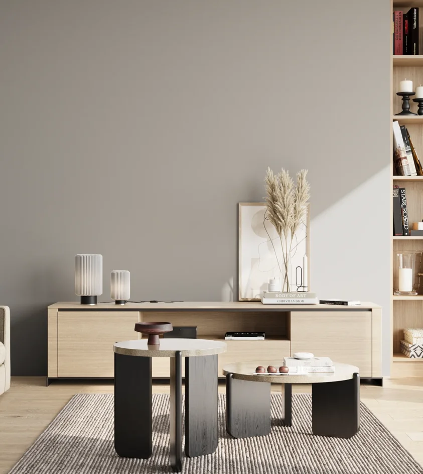 P10_SNIEZKA_salon_02_poludnie_GREY_S3000-N