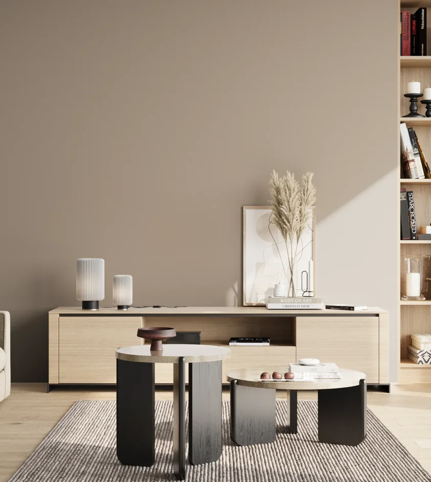 P10_SNIEZKA_salon_02_poludnie_GREY_S3005-Y50R