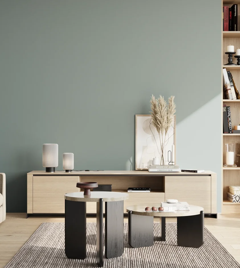 P10_SNIEZKA_salon_02_poludnie_GREY_S3010-B50G