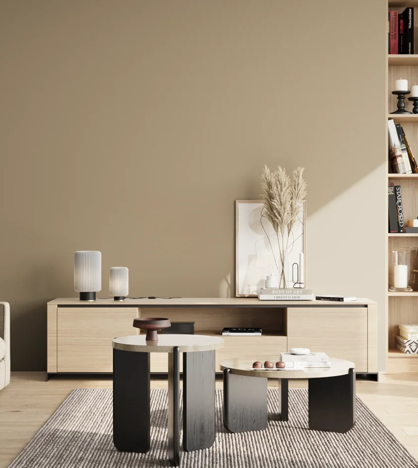P10_SNIEZKA_salon_02_poludnie_GREY_S3010-Y20R