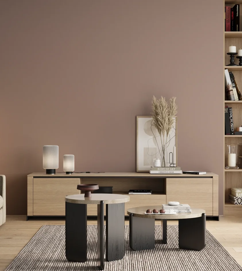 P10_SNIEZKA_salon_00_neutral_GREY_S3010-Y80R