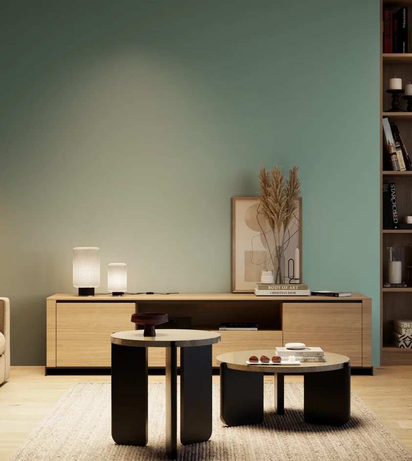 P10_SNIEZKA_salon_04_cieple_GREY_S3020-B60G