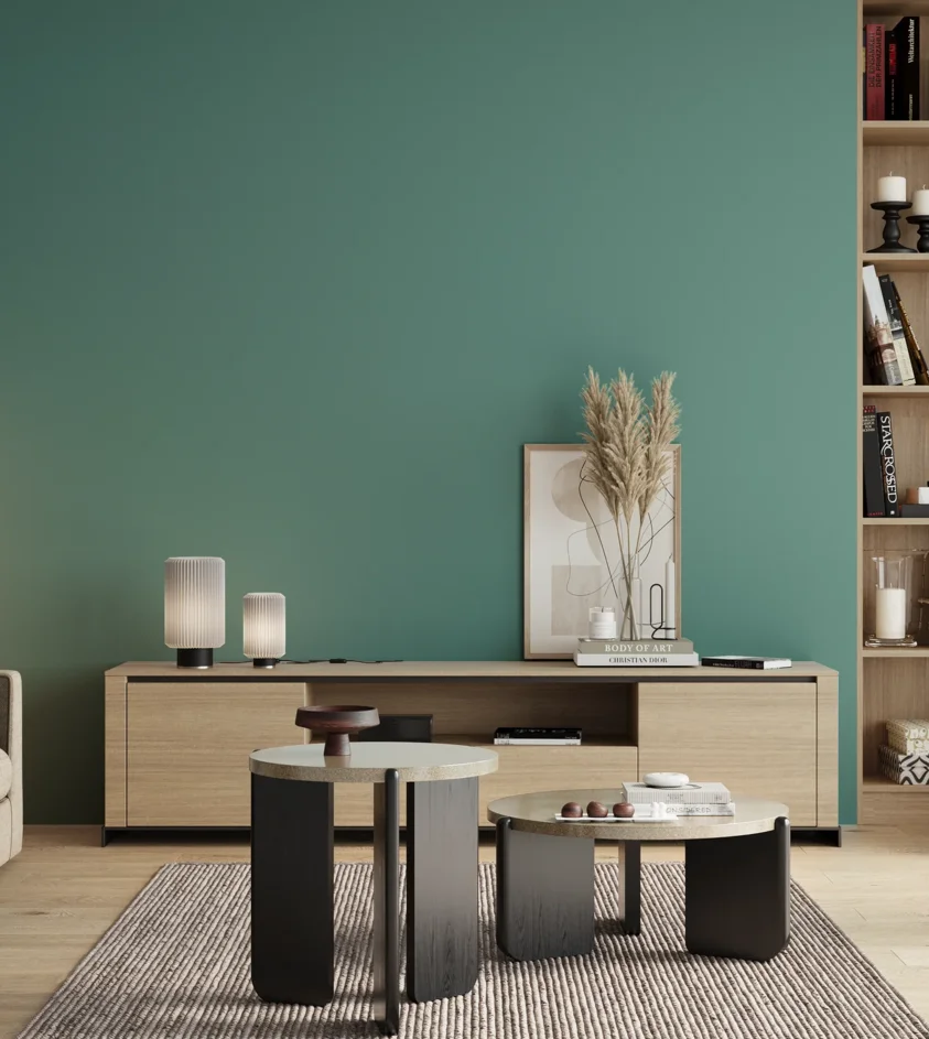 P10_SNIEZKA_salon_00_neutral_GREY_S3030-B60G