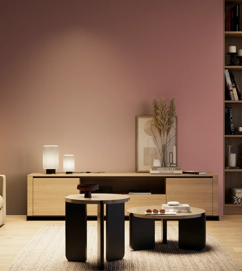 P10_SNIEZKA_salon_04_cieple_GREY_S3030-R