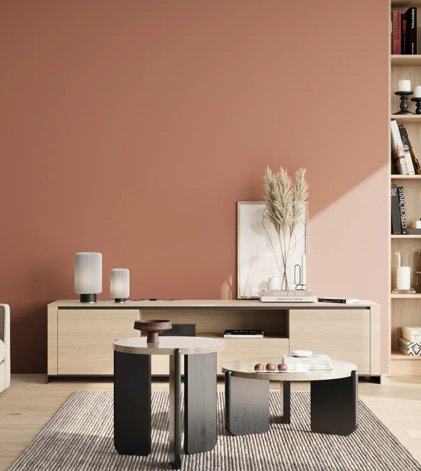 P10_SNIEZKA_salon_02_poludnie_GREY_S3030-Y70R