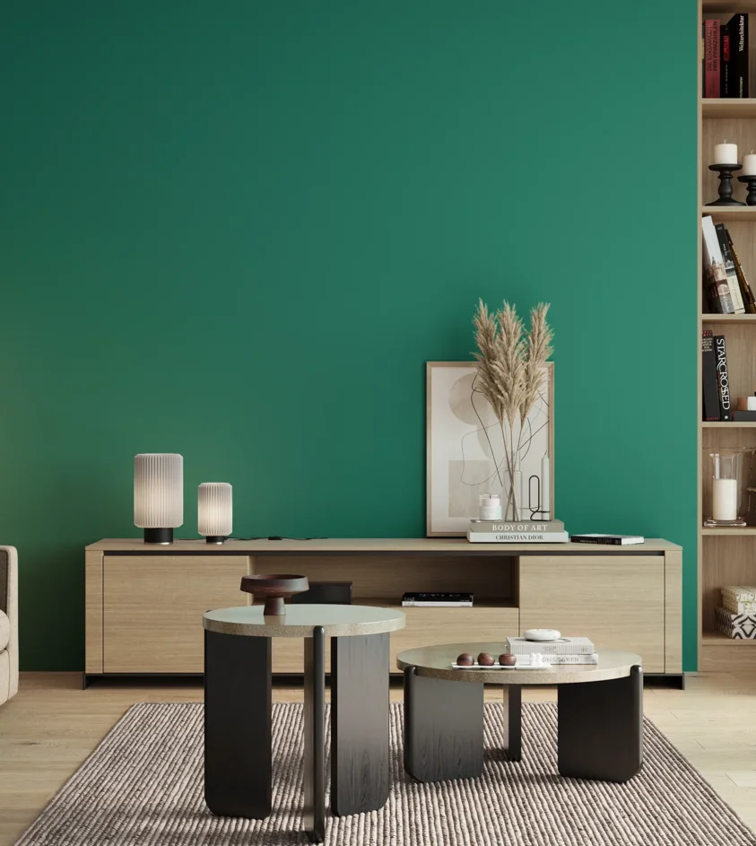 P10_SNIEZKA_salon_00_neutral_GREY_S3050-B80G