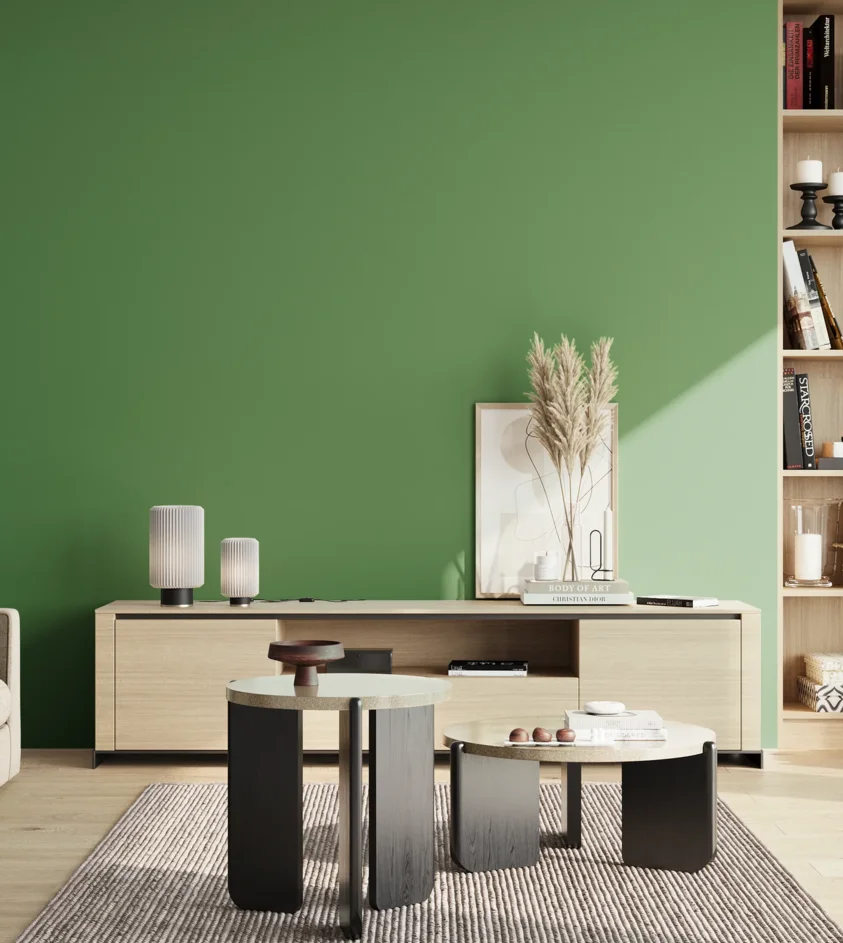 P10_SNIEZKA_salon_02_poludnie_GREY_S3050-G20Y