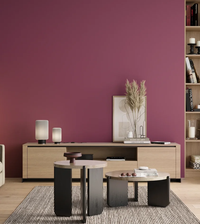 P10_SNIEZKA_salon_00_neutral_GREY_S3050-R30B