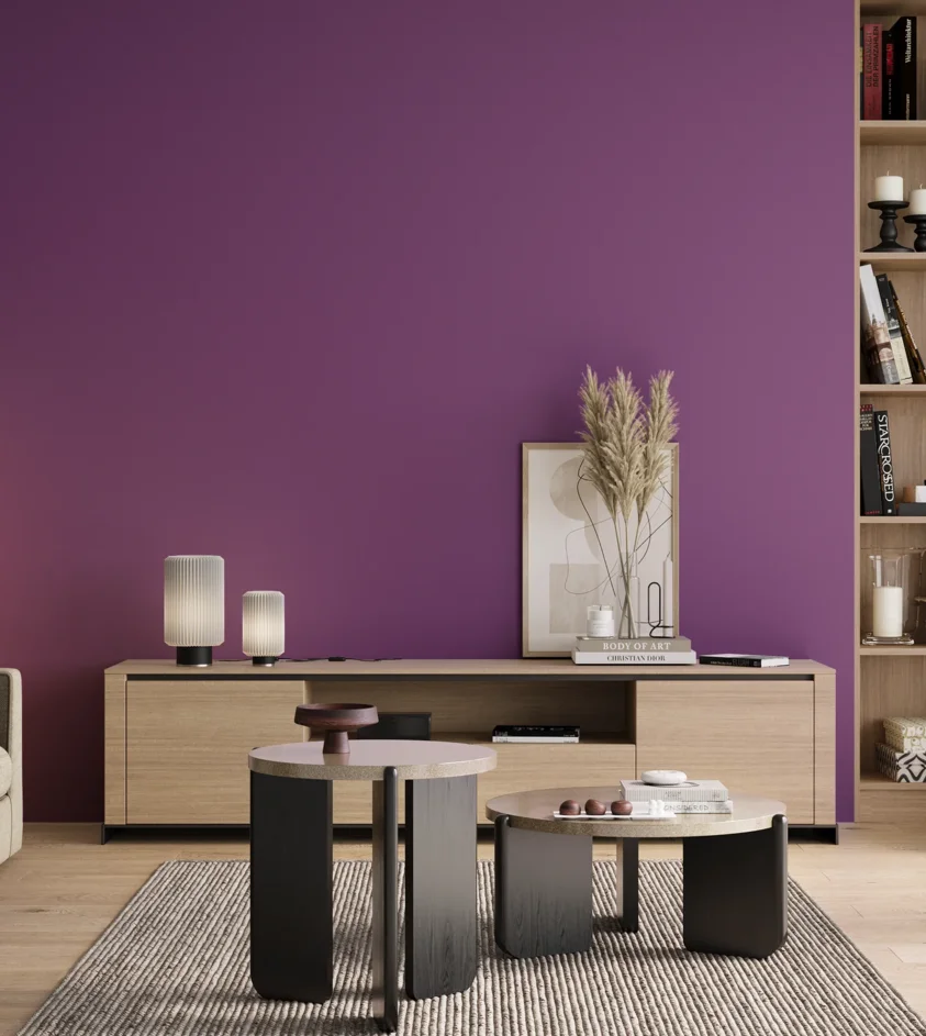 P10_SNIEZKA_salon_00_neutral_GREY_S3055-R50B