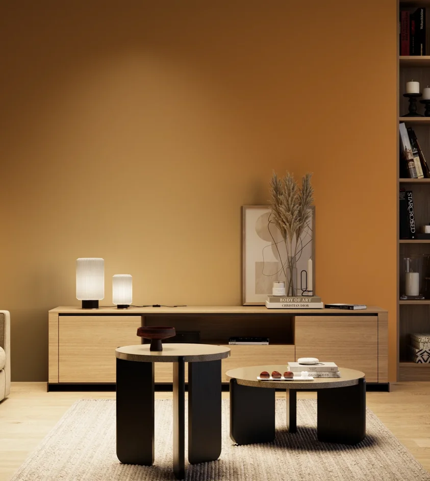 P10_SNIEZKA_salon_04_cieple_GREY_S3060-Y30R