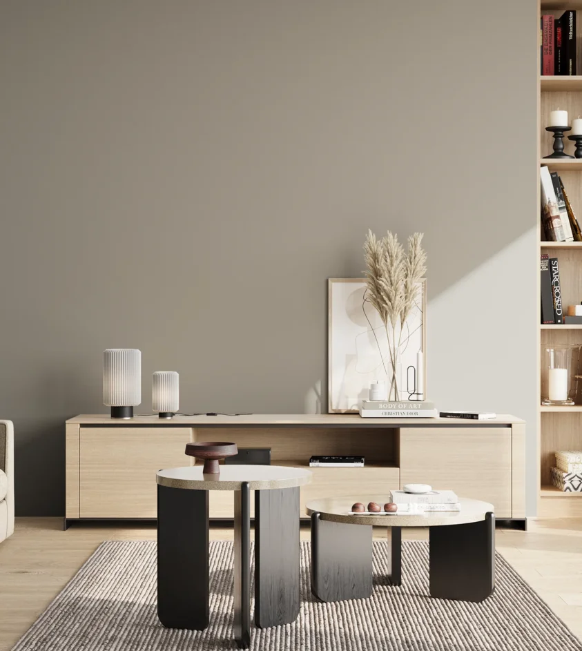 P10_SNIEZKA_salon_02_poludnie_GREY_S3502-Y
