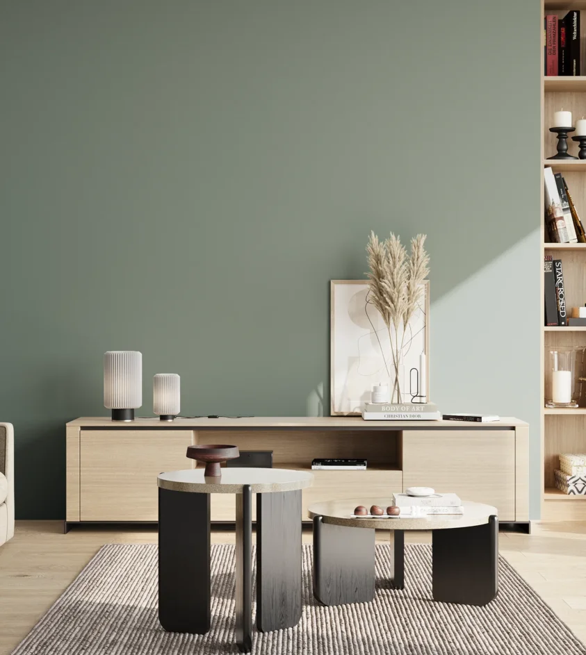 P10_SNIEZKA_salon_02_poludnie_GREY_S4010-B90G