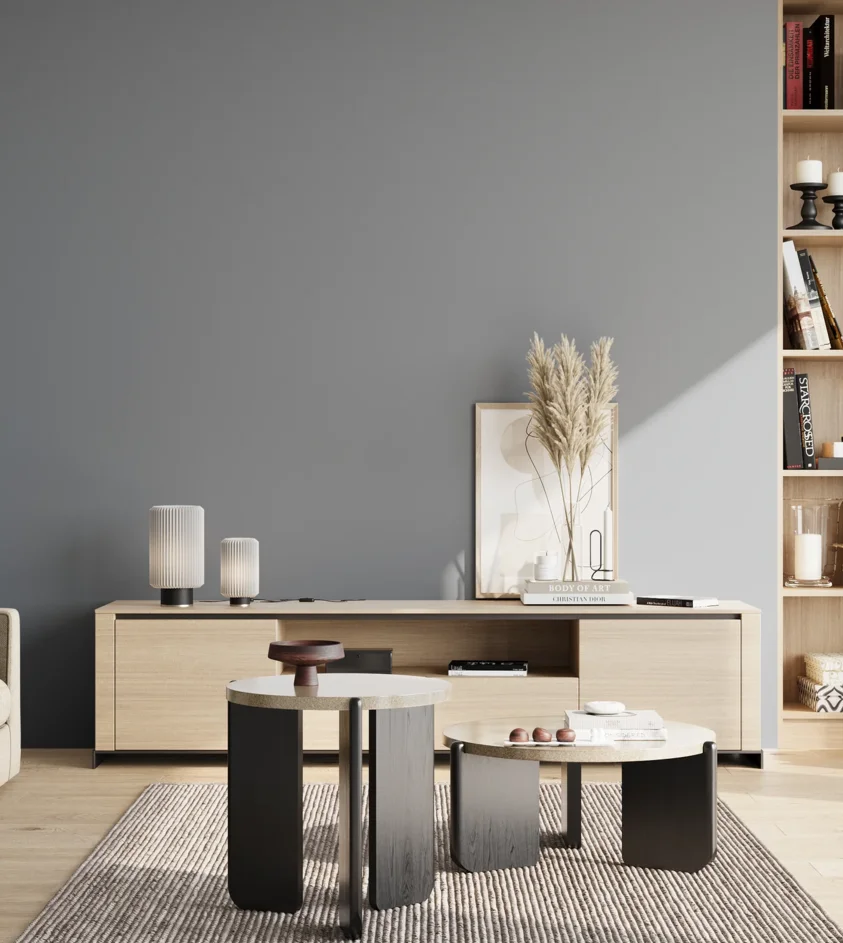 P10_SNIEZKA_salon_02_poludnie_GREY_S4010-R90B