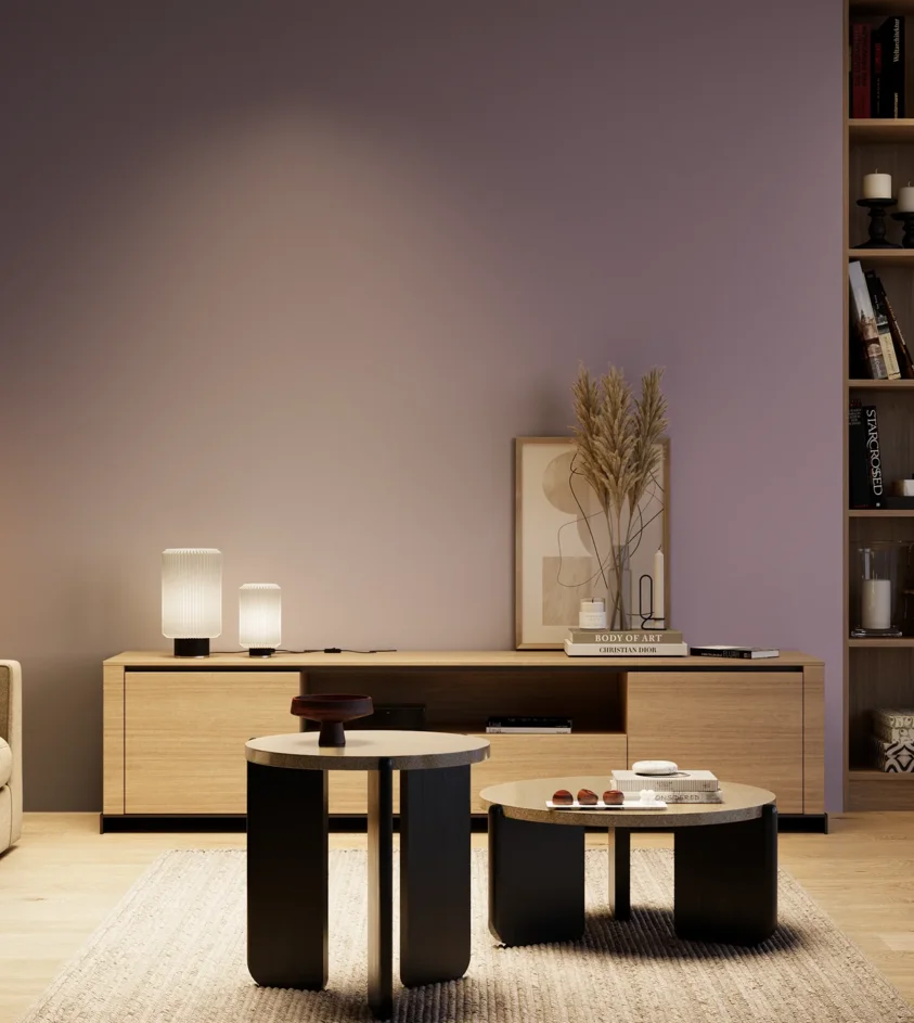 P10_SNIEZKA_salon_04_cieple_GREY_S4020-R50B