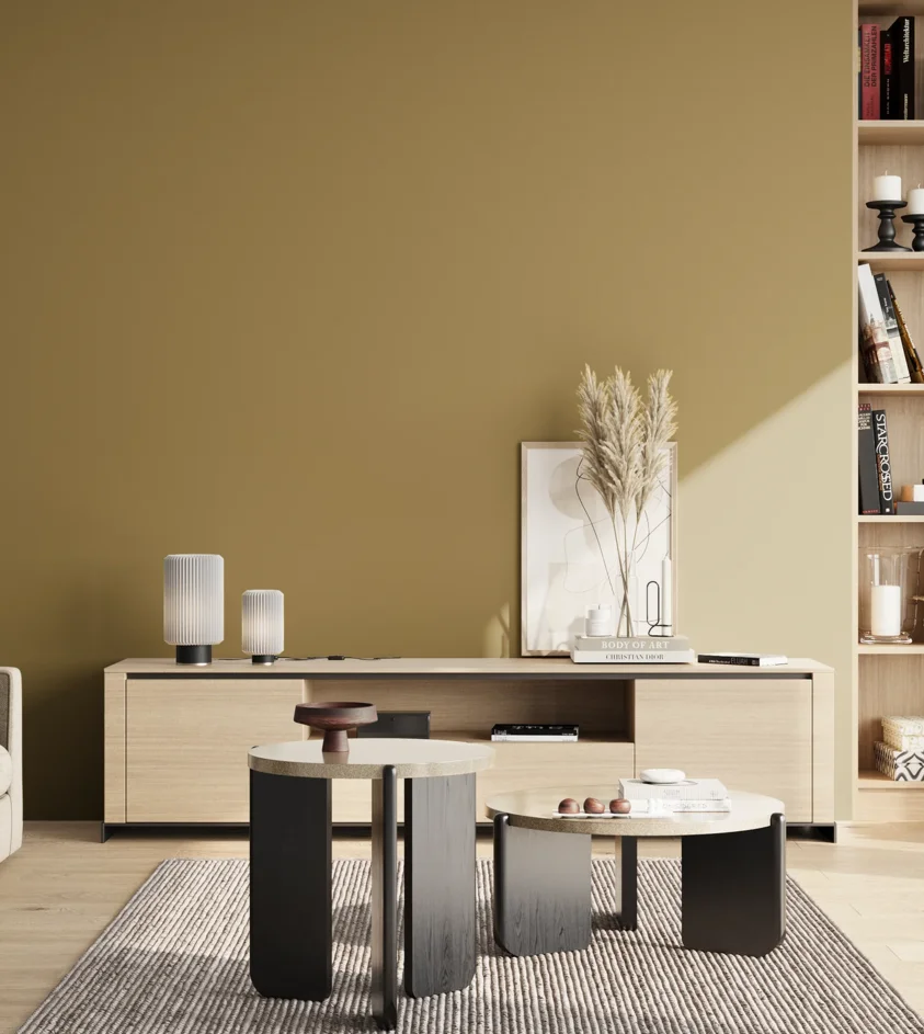 P10_SNIEZKA_salon_02_poludnie_GREY_S4030-Y