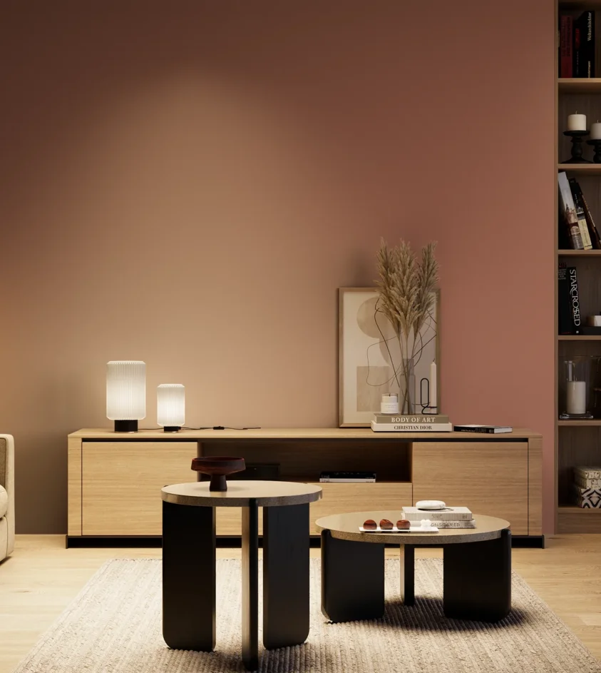 P10_SNIEZKA_salon_04_cieple_GREY_S4030-Y80R