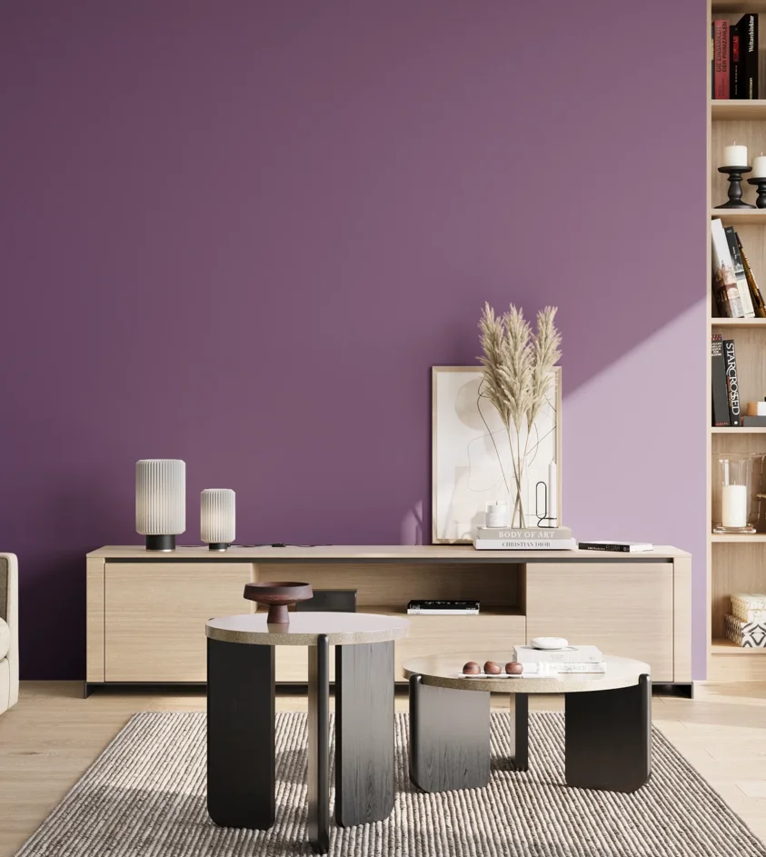 P10_SNIEZKA_salon_02_poludnie_GREY_S4040-R50B