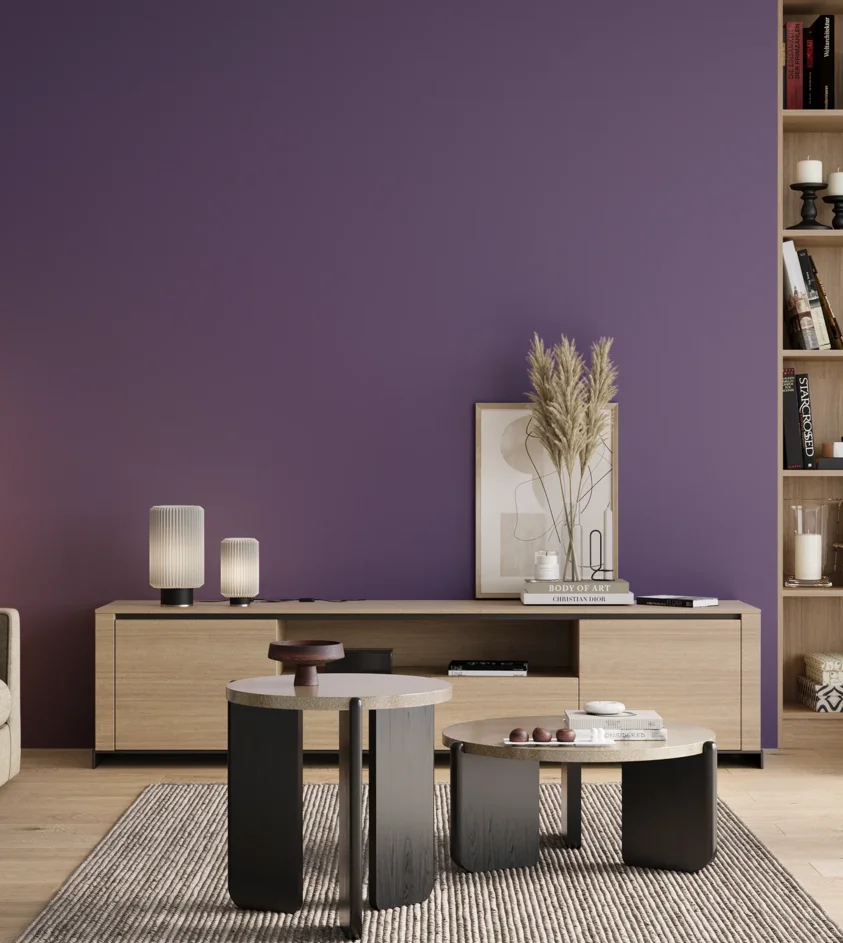 P10_SNIEZKA_salon_00_neutral_GREY_S4040-R60B