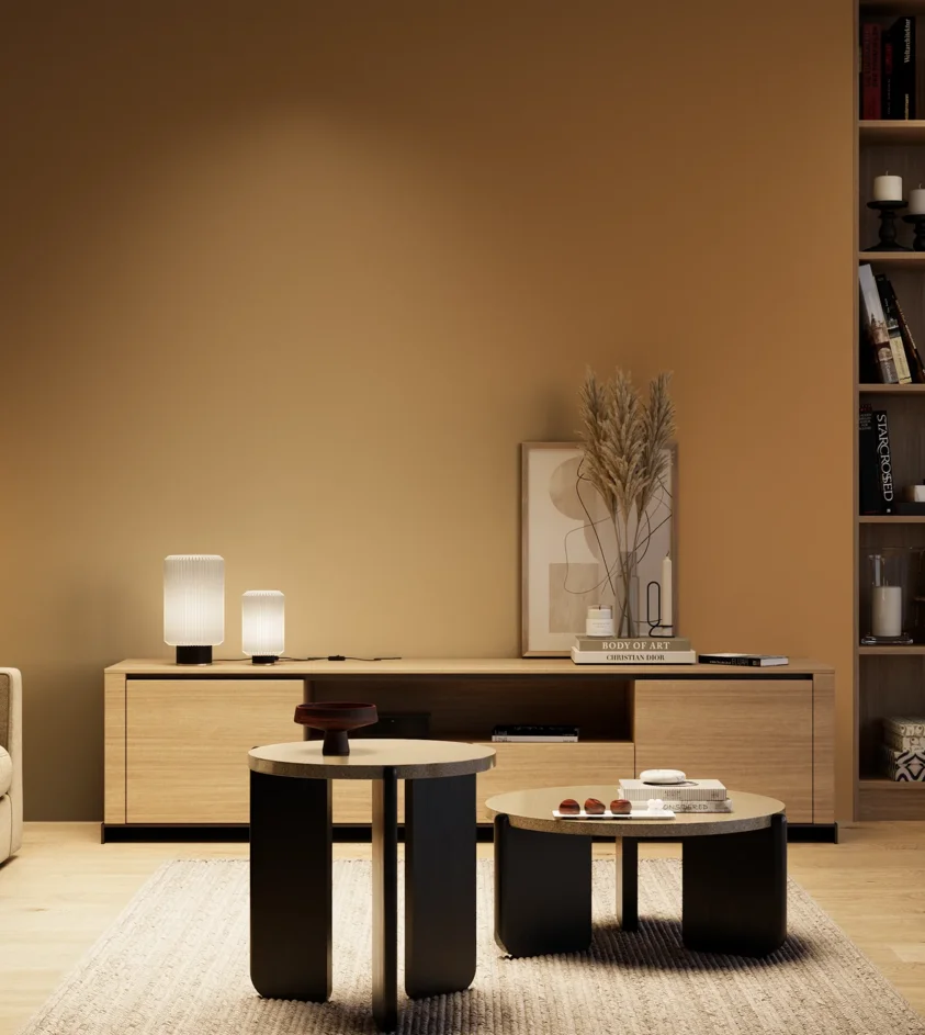 P10_SNIEZKA_salon_04_cieple_GREY_S4040-Y30R