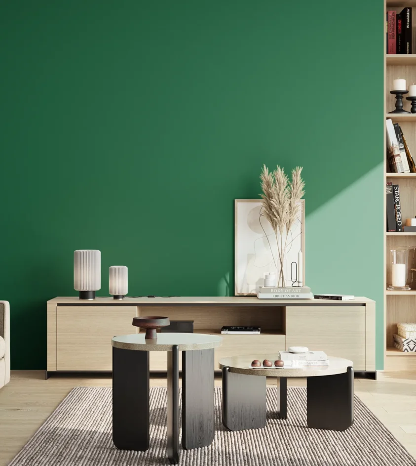 P10_SNIEZKA_salon_02_poludnie_GREY_S4050-G