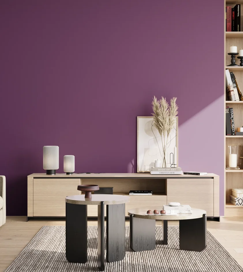P10_SNIEZKA_salon_02_poludnie_GREY_S4050-R50B