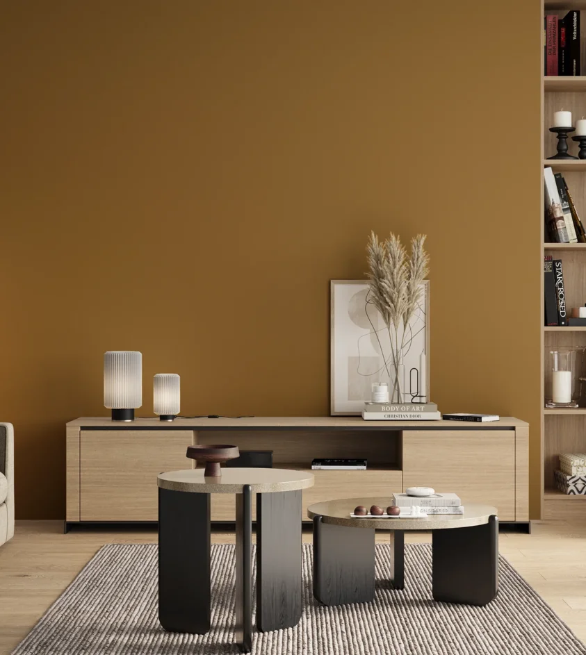 P10_SNIEZKA_salon_00_neutral_GREY_S4050-Y10R