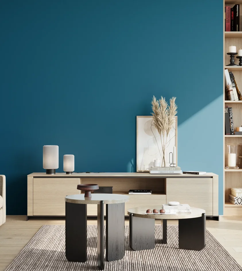 P10_SNIEZKA_salon_02_poludnie_GREY_S4055-B