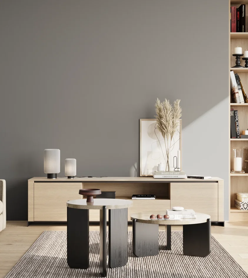P10_SNIEZKA_salon_02_poludnie_GREY_S4502-B