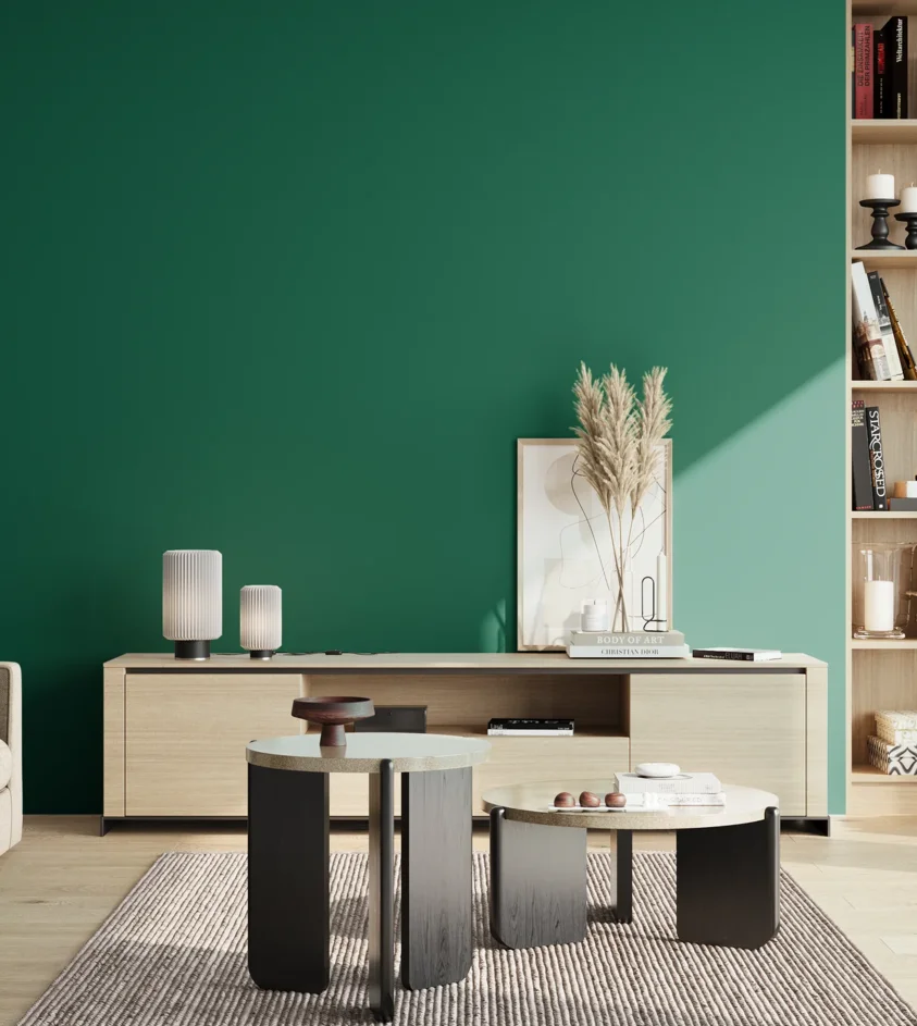 P10_SNIEZKA_salon_02_poludnie_GREY_S4550-B90G