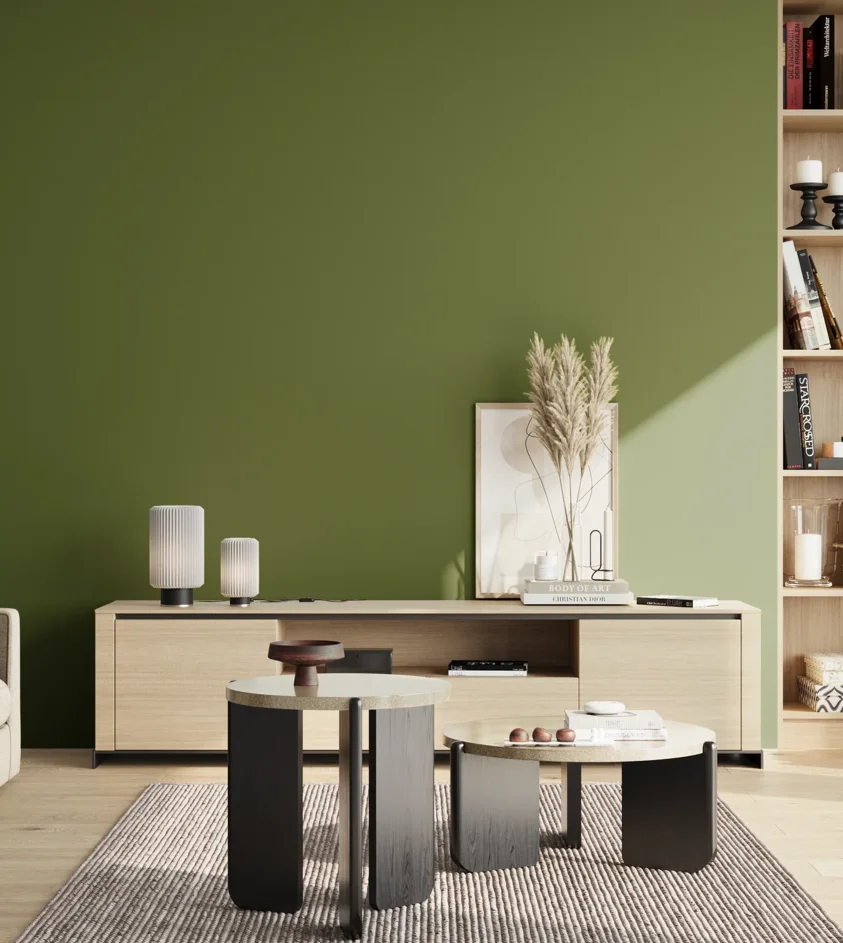 P10_SNIEZKA_salon_02_poludnie_GREY_S4550-G40Y