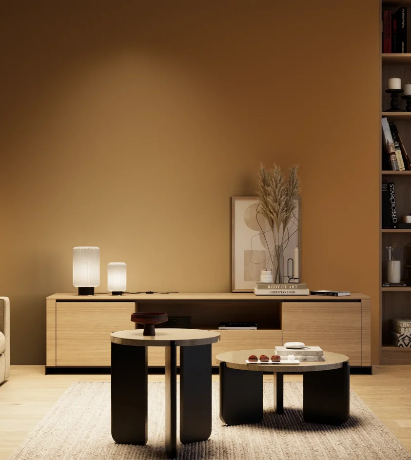 P10_SNIEZKA_salon_04_cieple_GREY_S4550-Y30R