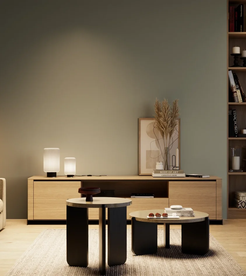 P10_SNIEZKA_salon_04_cieple_GREY_S5005-G20Y