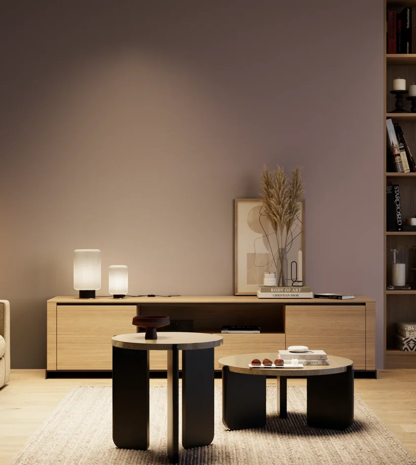 P10_SNIEZKA_salon_04_cieple_GREY_S5010-R30B