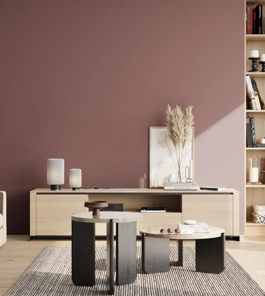 P10_SNIEZKA_salon_02_poludnie_GREY_S5020-R10B