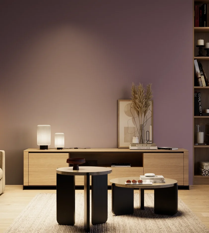 P10_SNIEZKA_salon_04_cieple_GREY_S5020-R40B