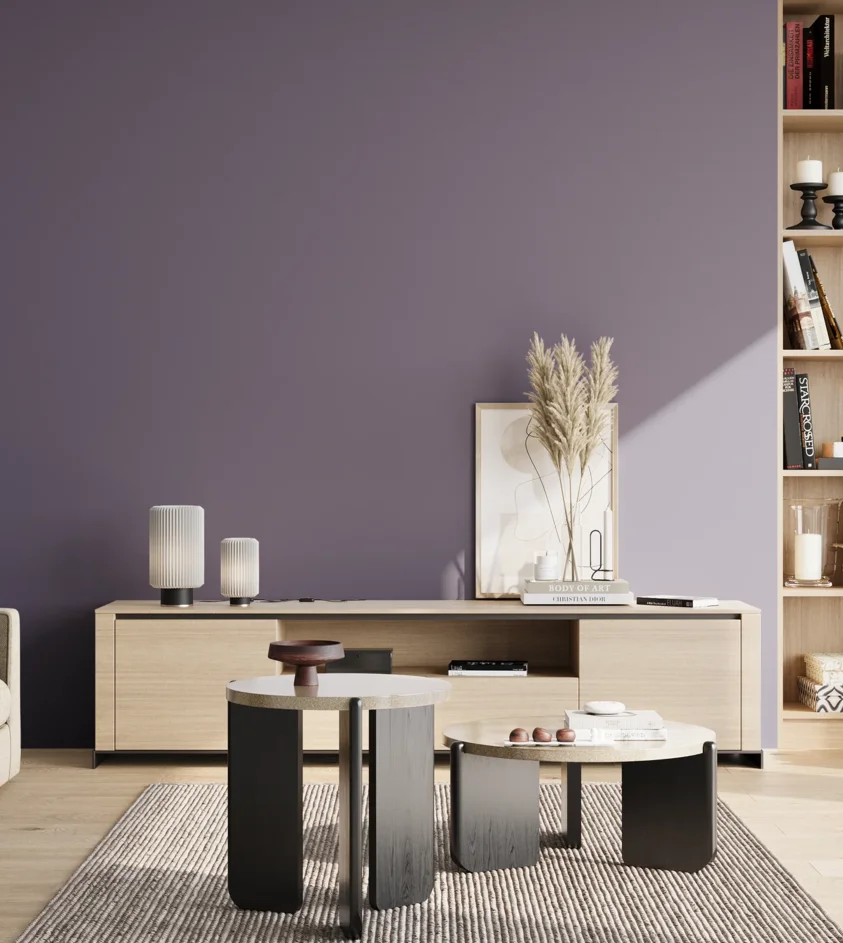 P10_SNIEZKA_salon_02_poludnie_GREY_S5020-R60B