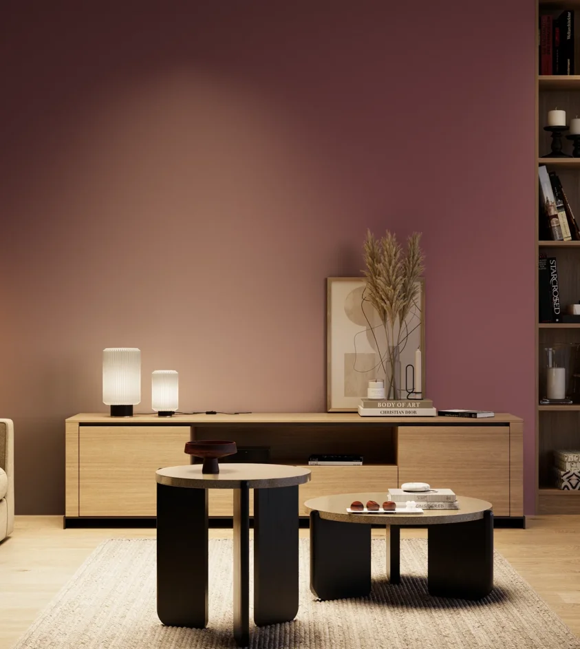 P10_SNIEZKA_salon_04_cieple_GREY_S5030-R20B
