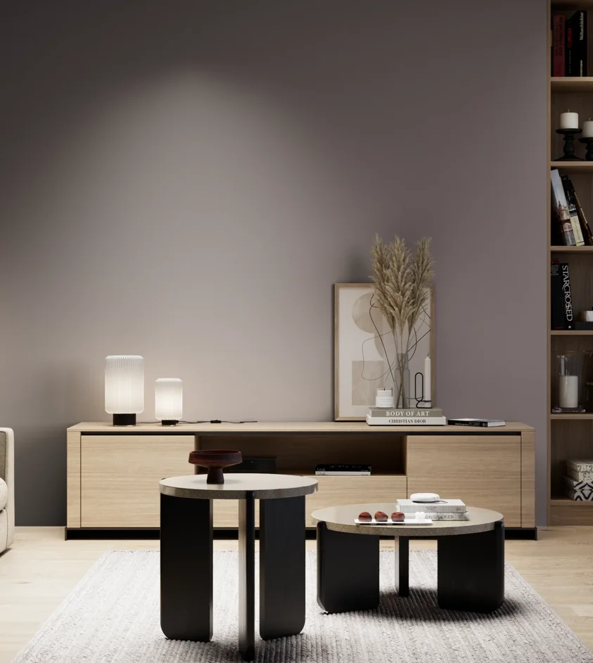 P10_SNIEZKA_salon_05_zimne_GREY_S6005-R20B