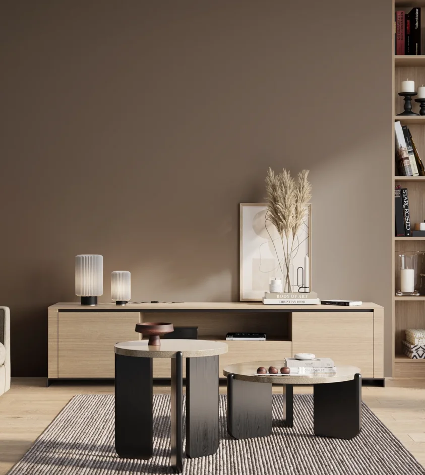 P10_SNIEZKA_salon_01_poranek_GREY_S6005-Y50R