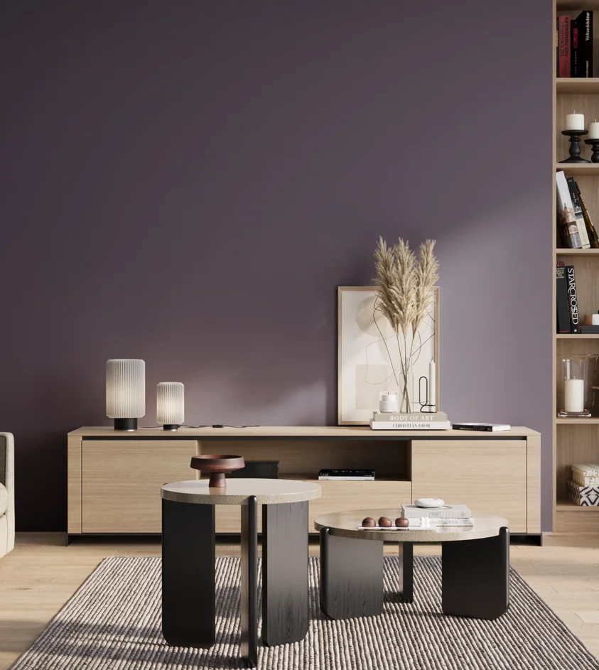 P10_SNIEZKA_salon_01_poranek_GREY_S6020-R60B