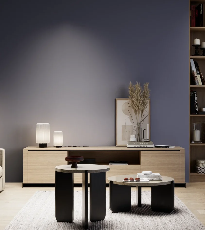P10_SNIEZKA_salon_05_zimne_GREY_S6020-R70B