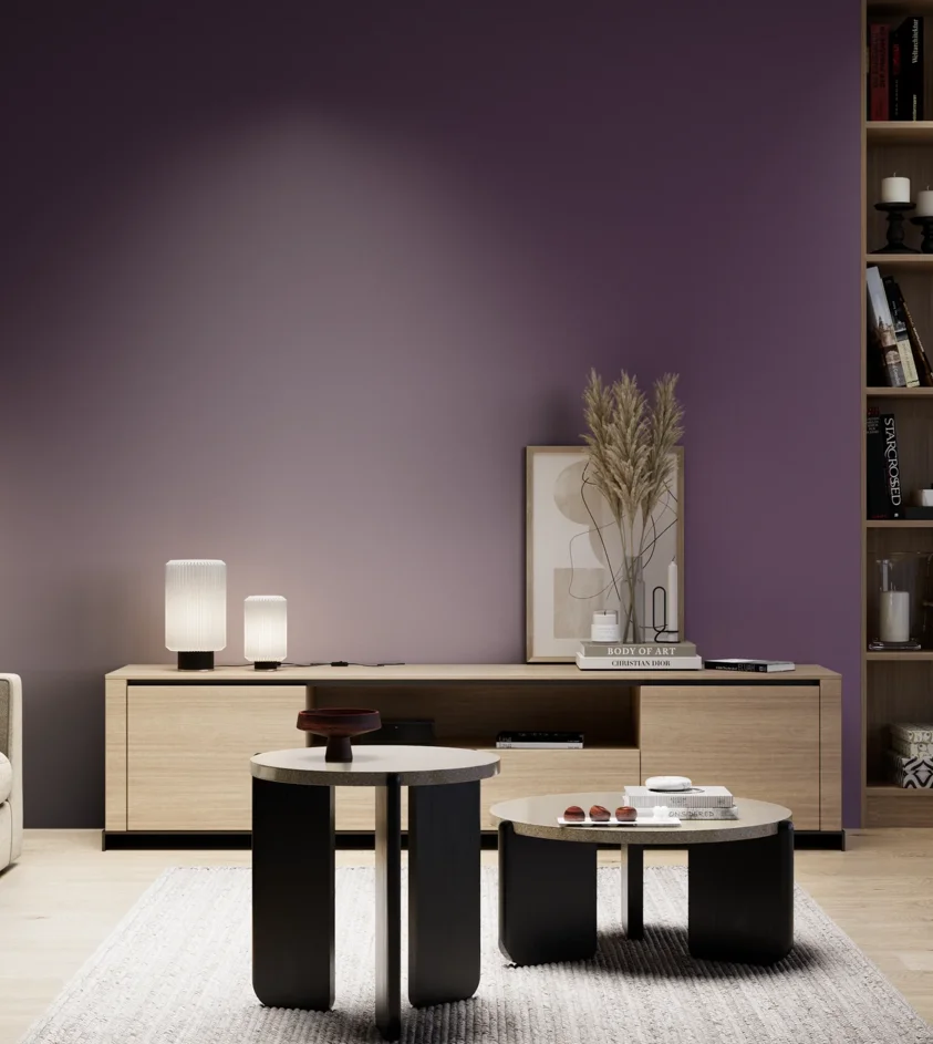 P10_SNIEZKA_salon_05_zimne_GREY_S6030-R50B