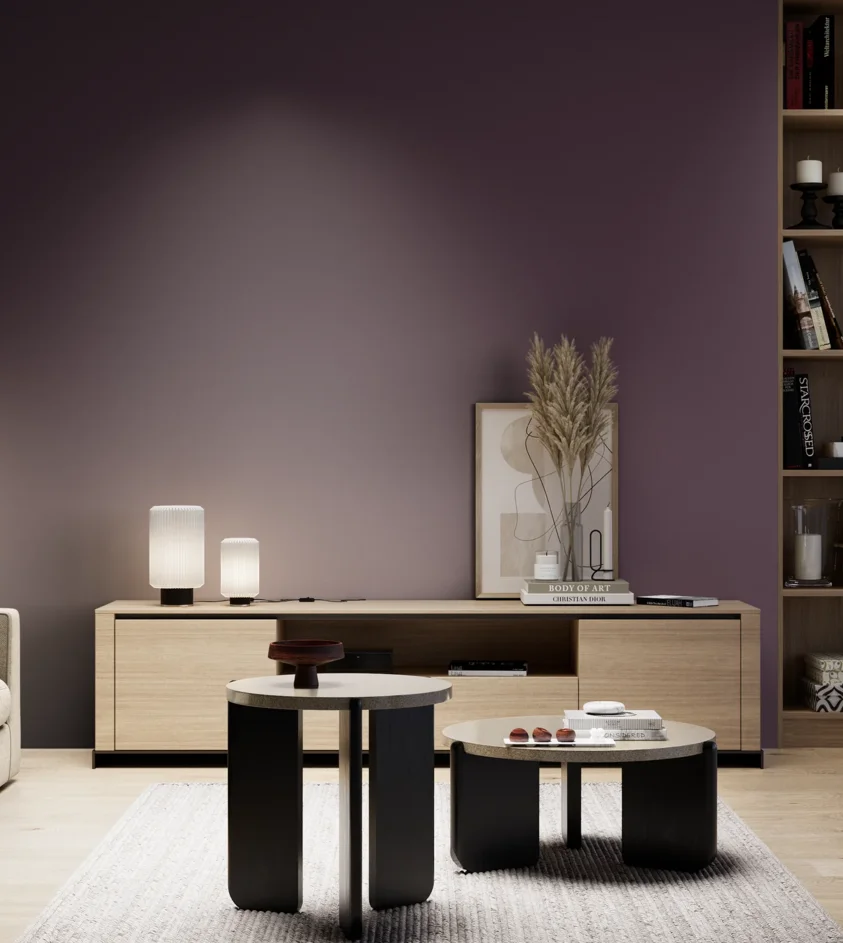 P10_SNIEZKA_salon_05_zimne_GREY_S7020-R40B
