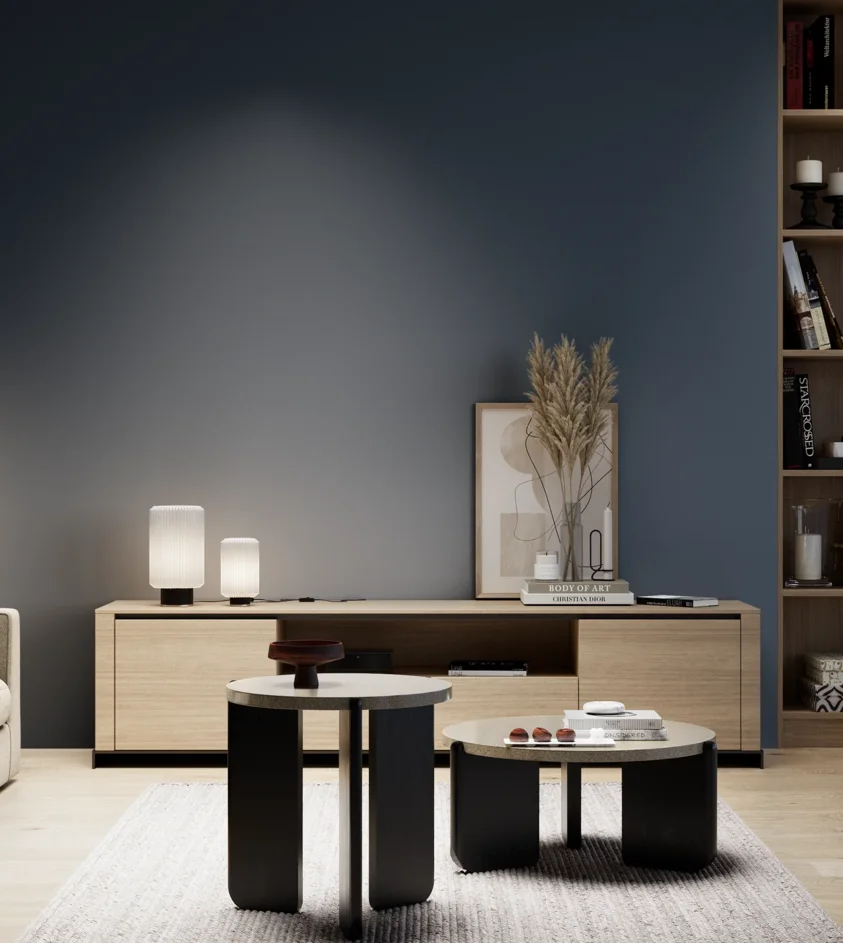 P10_SNIEZKA_salon_05_zimne_GREY_S7020-R90B