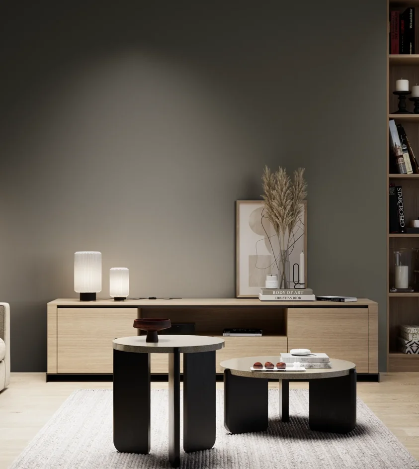 P10_SNIEZKA_salon_05_zimne_GREY_S8005-G80Y
