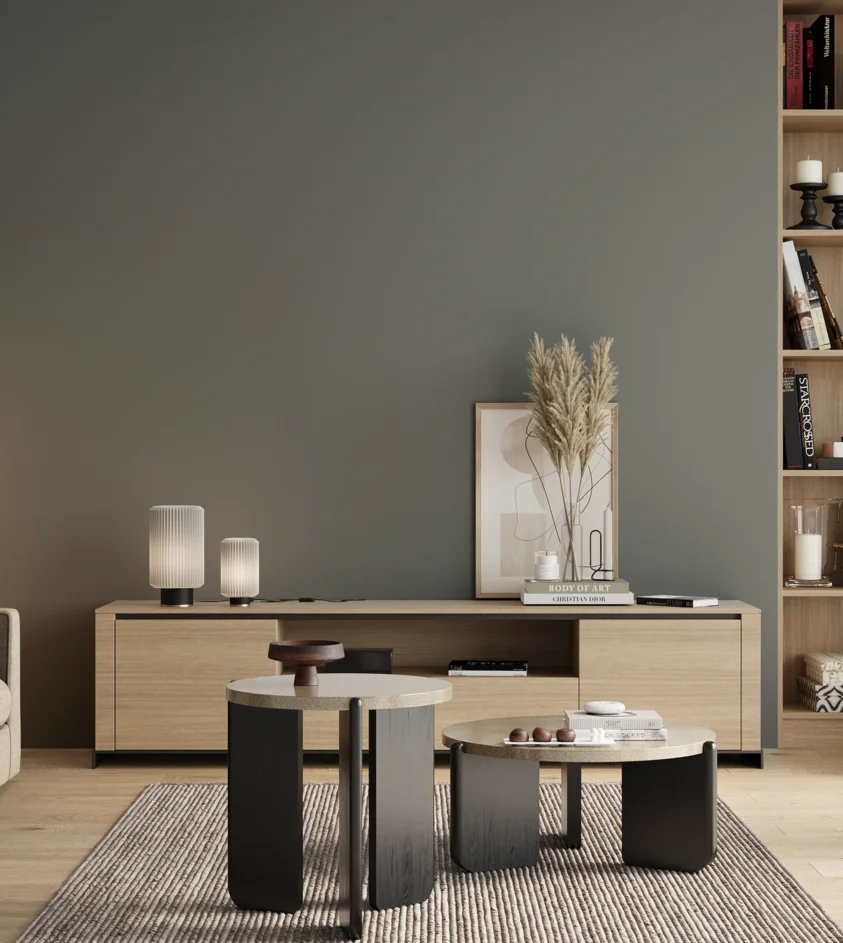 P10_SNIEZKA_salon_00_neutral_GREY_S5005-B50G
