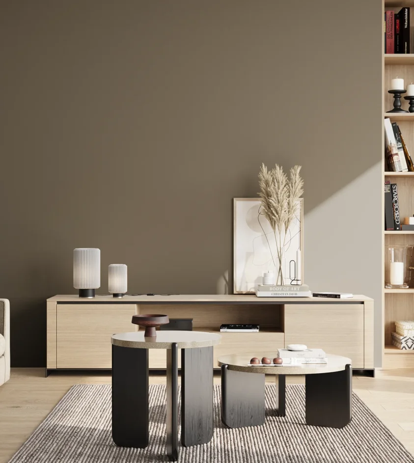 P10_SNIEZKA_salon_02_poludnie_GREY_S6005-Y